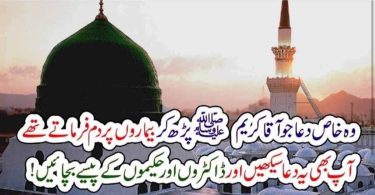 آقا کریم